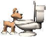 dog drinking from toilet gif