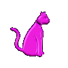 pink glitter kitten 